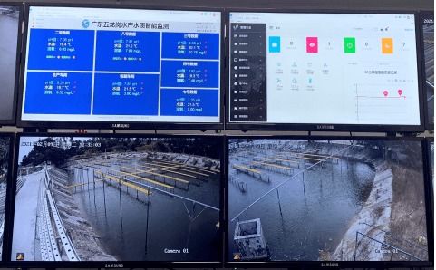 科技興漁 人工智能與芯片魚如何驅動水產養殖變革